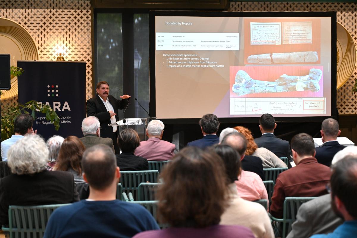 Fotó: Lantos Zoltán